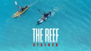 The Reef: Stalked