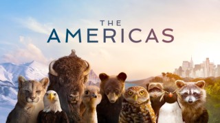 The Americas