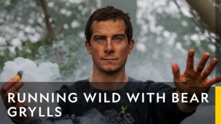 Running wild with bear grylls