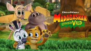 Madagaskar: Liten och vild