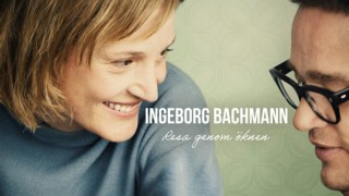 Ingeborg Bachmann: Resa genom öknen