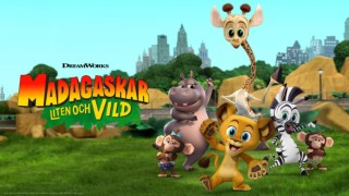 Madagaskar: Liten och vild