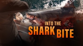 Into the Shark Bite