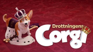 Drottningens Corgi