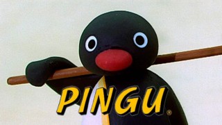 Pingu