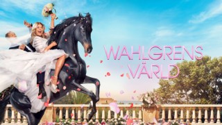 Wahlgrens värld