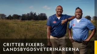 Critter fixers: landsbygdsveterinärerna