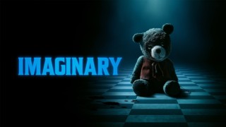 Imaginary