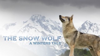 The Snow Wolf - A Winter's Tale