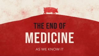 The End of Medicine