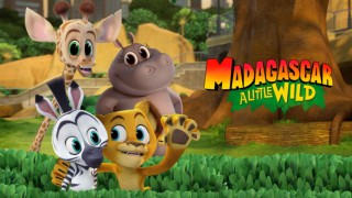 Madagascar: Liten och vild