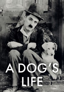 A Dog's Life
