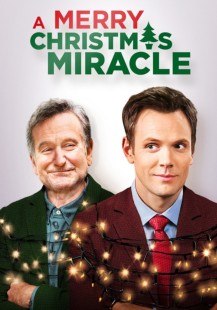 A Merry Christmas Miracle