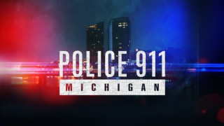 Police 911: Michigan