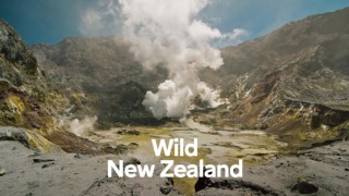 Wild New Zealand