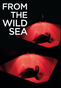 From the Wild Sea