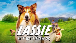 Lassie - ett nytt äventyr