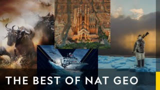 The best of nat geo
