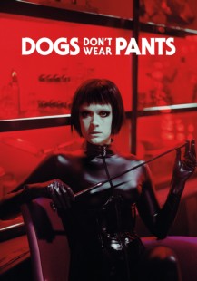 Dogs don't wear pants