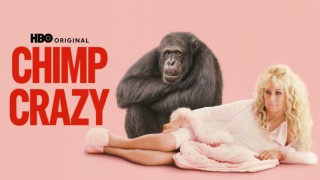 Chimp Crazy