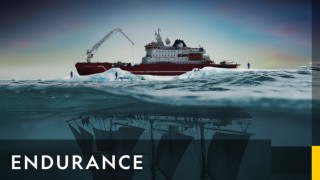 Endurance