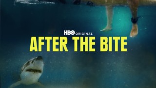 After the Bite