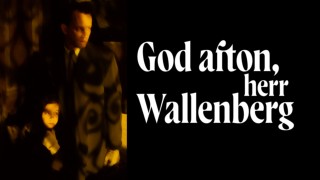 God afton, herr Wallenberg