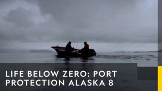 Det laglösa folket: port protection alaska
