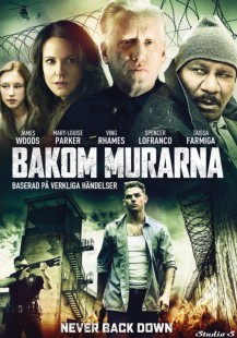 Bakom murarna