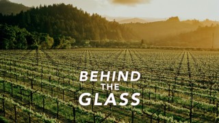 Behind the Glass