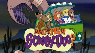 Våran Scooby-Doo