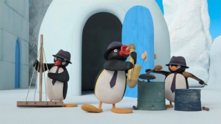 Pingu i stan