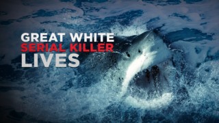 Great White Serial Killer Lives