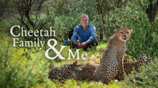 Cheetah Family & Me