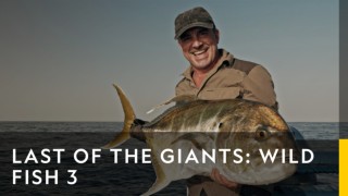 Last of the giants: wild fish