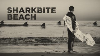 How Not to Become Shark Bait