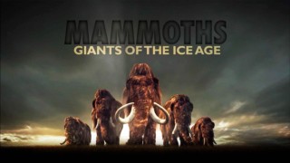 Mammuten: istidens gigant