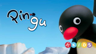 Pingu