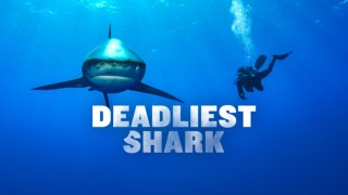 Deadliest Shark