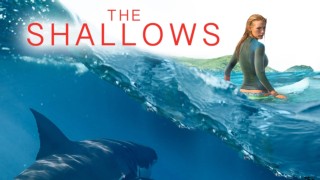 The Shallows