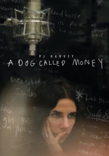 A Dog called Money