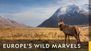 Europe: one continent - five worlds