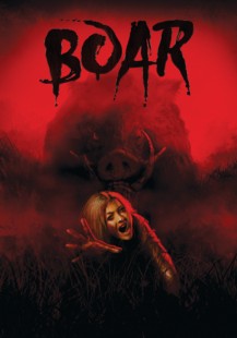 Boar