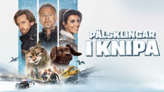Pälsklingar i knipa