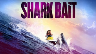 Shark Bait