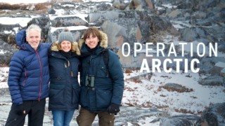 Operation Arctic
