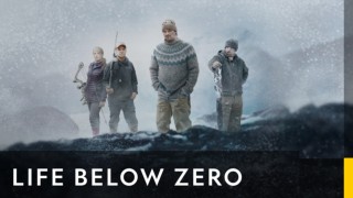 Life below zero