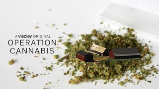 Operation Cannabis