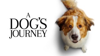 A Dog's Journey