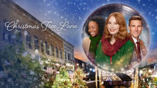 Christmas Tree Lane